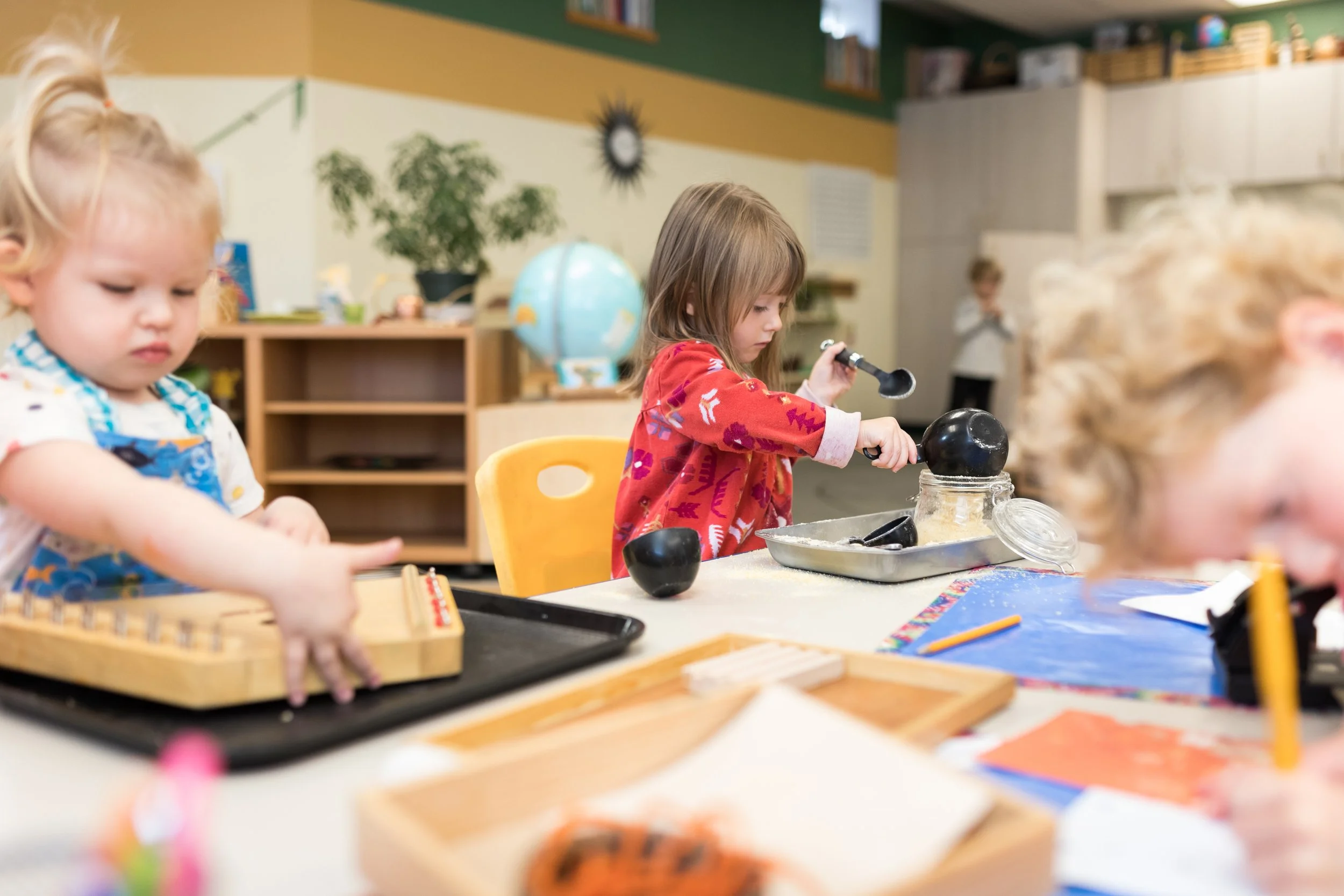 branding photography florida