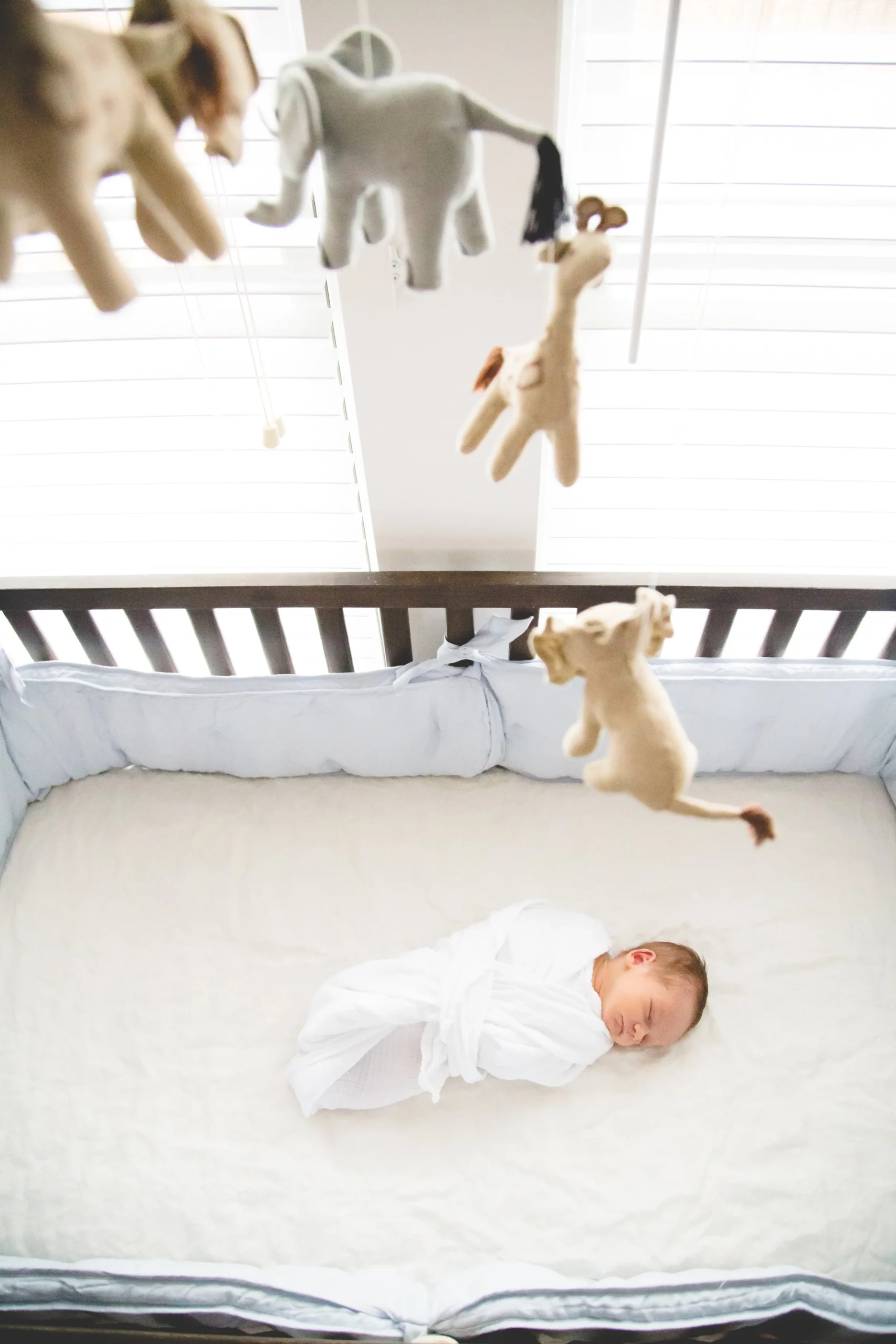 lifestyle newborn photographer