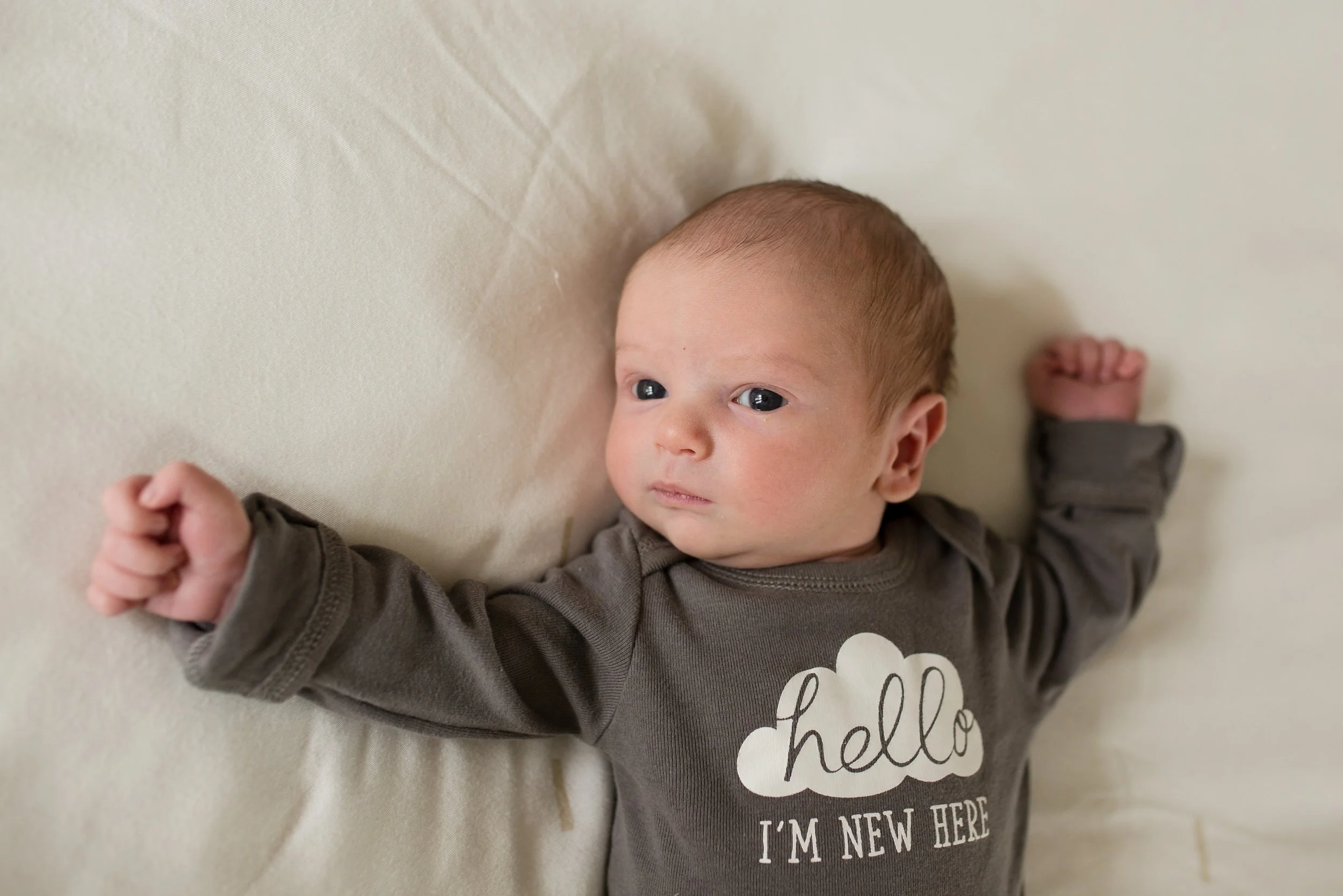 newborn photographer in jacksonville